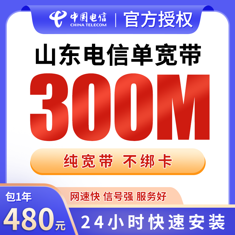 山东电信480元包1年单宽带300M【不含调试费】 - 电信运营商