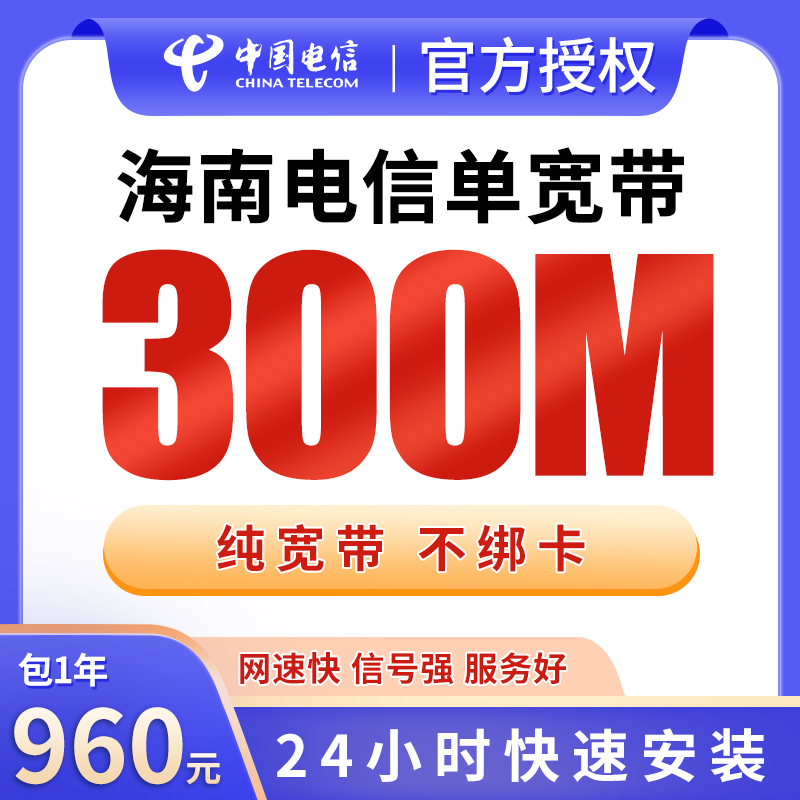 海南电信单宽带960元包年300M【只发海南】 - 电信运营商