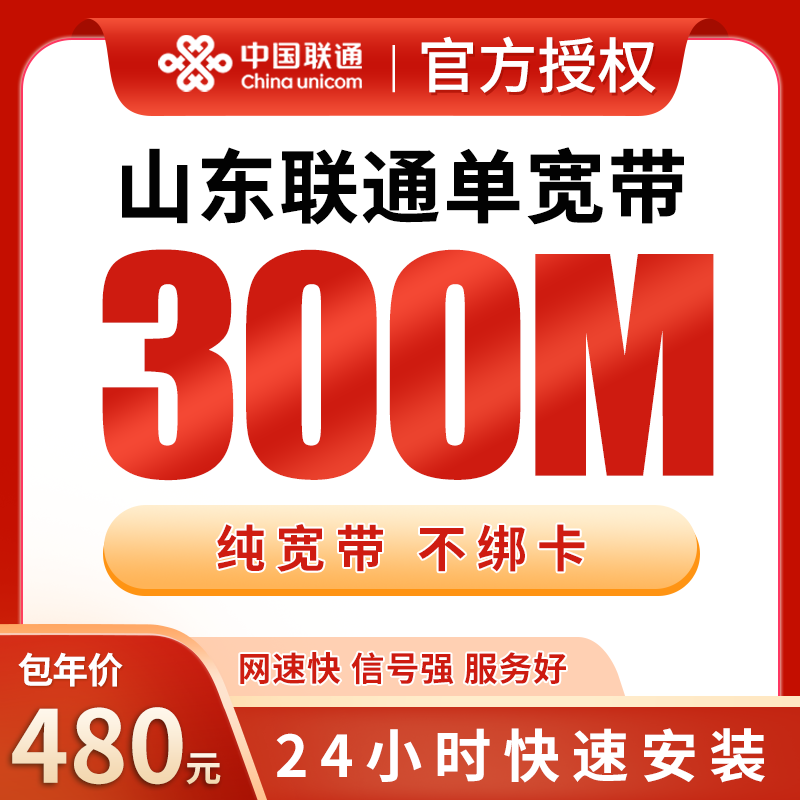 山东联通480元包1年单宽带300M【不含调试费】 - 联通流量卡套餐
